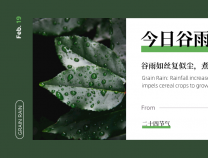 谷雨 | 詩寫梅花月,茶煎谷雨春